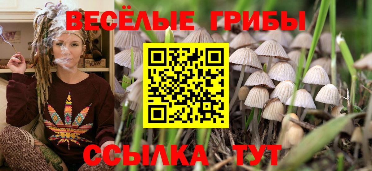 Галлюциногенные грибы мухоморы  Вход с VPN  Фурманов 