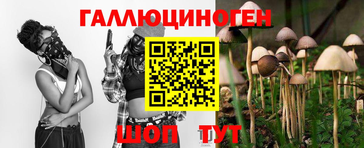 Псилоцибиновые грибы прущие грибы Фурманов